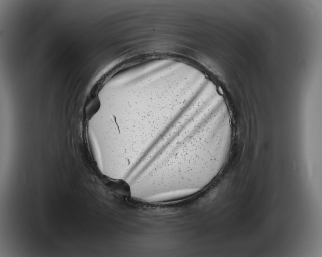 X0000086110877200704132207