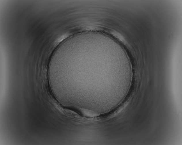 X0000086110881200704132207