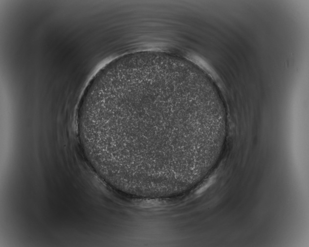 X0000086110883200704132207