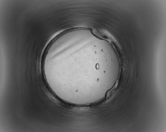 X0000086110884200704132207