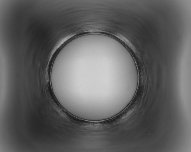 X0000086110885200704132207