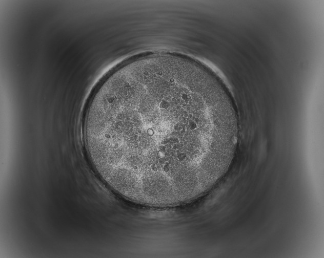 X0000086110887200704132207