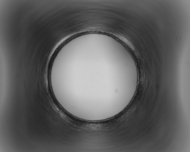 X0000086110888200704132207