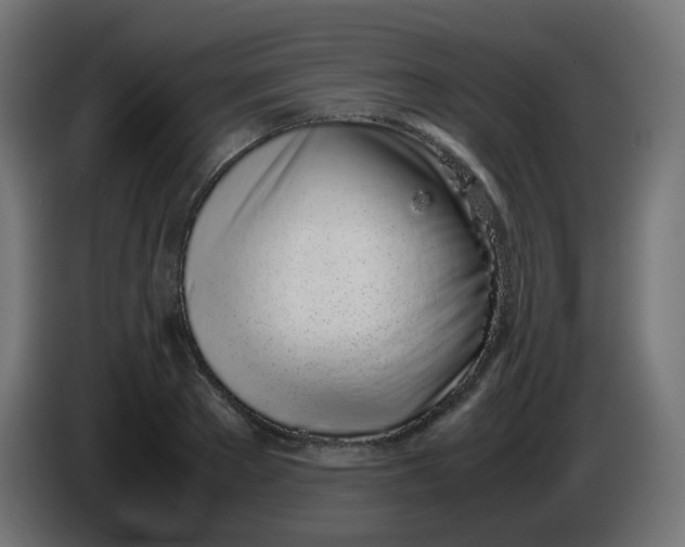 X0000086110889200704132207