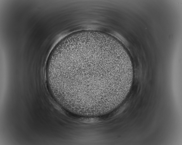 X0000086110891200704132206