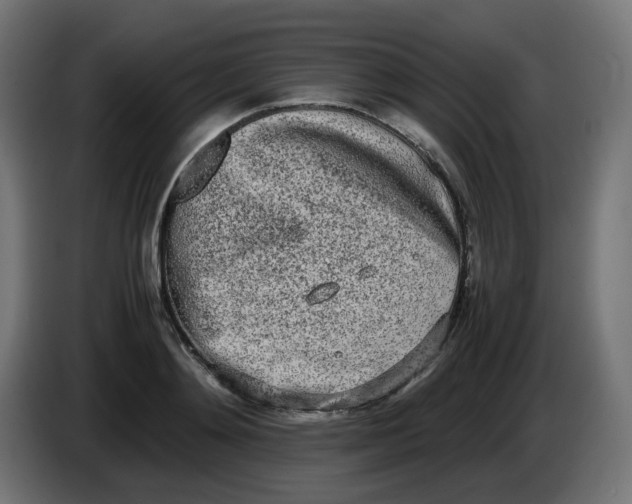 X0000086110892200704132206