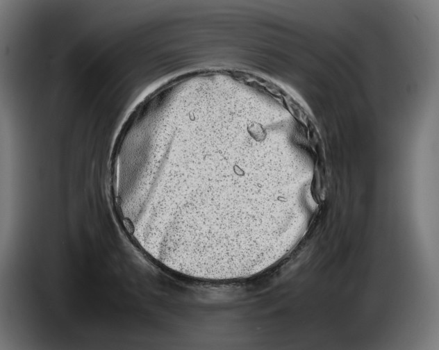 X0000086110895200704132206