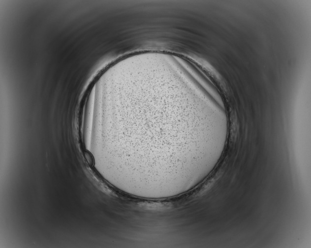 X0000086110896200704132206