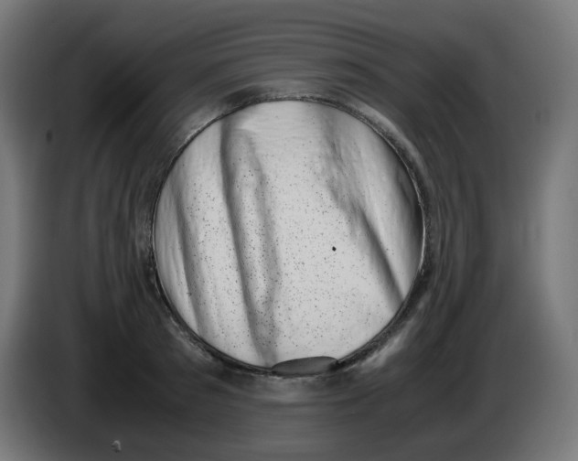 X0000086110897200704132206