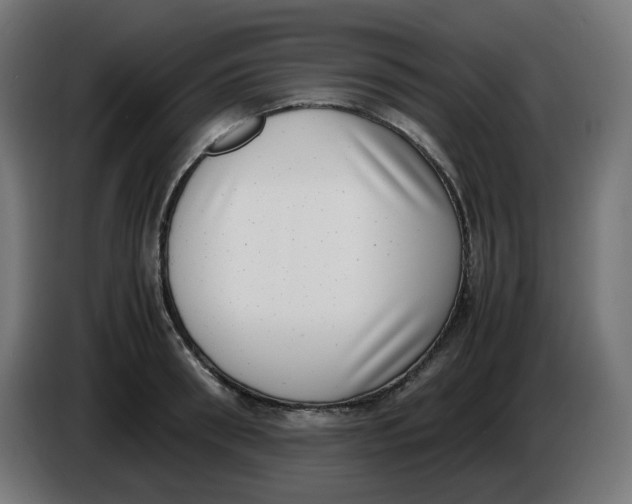 X0000086110898200704132206