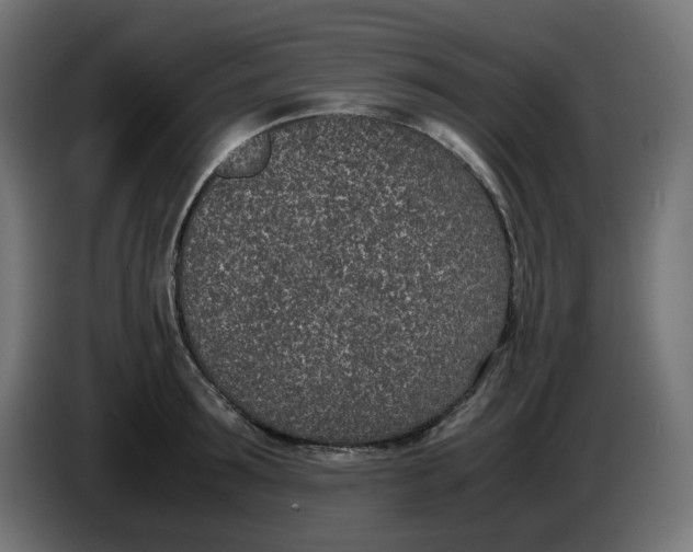 X0000086110899200704132206