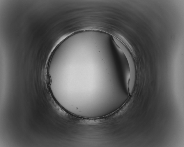 X0000086110900200704132206