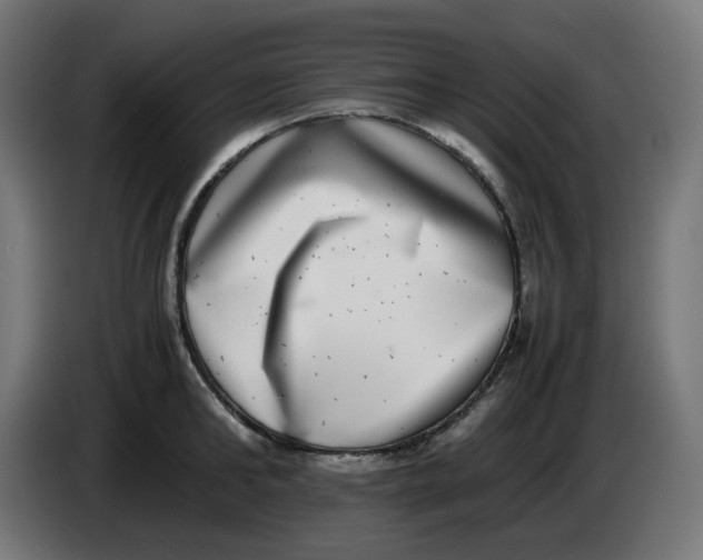 X0000086110902200704132206