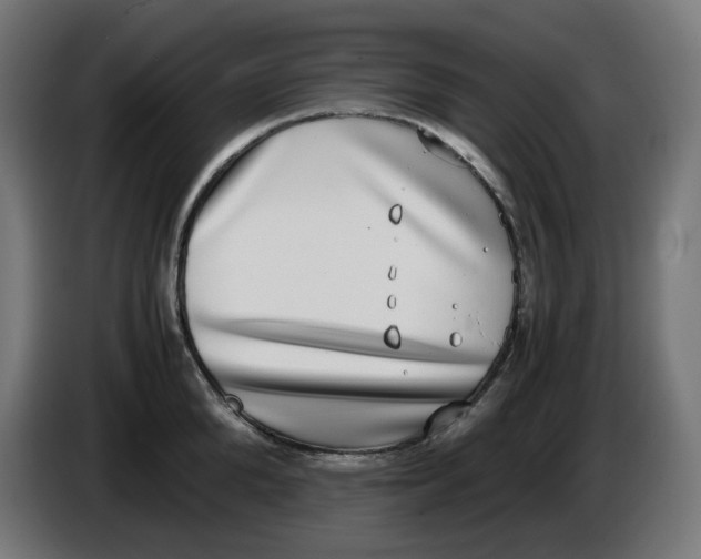 X0000086110904200704132206