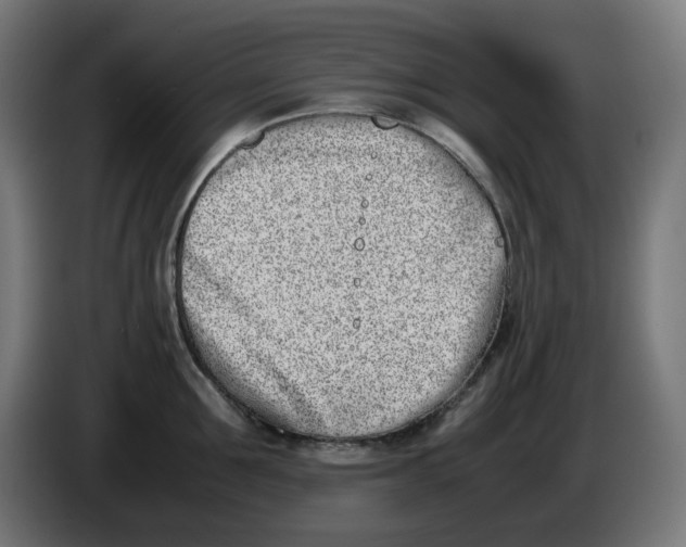 X0000086110907200704132206