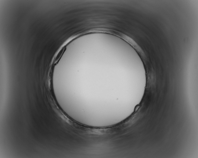 X0000086110908200704132206