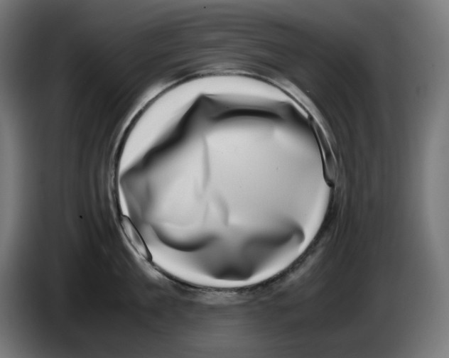 X0000086110909200704132206