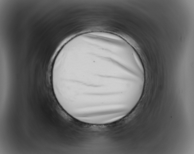 X0000086110912200704132206