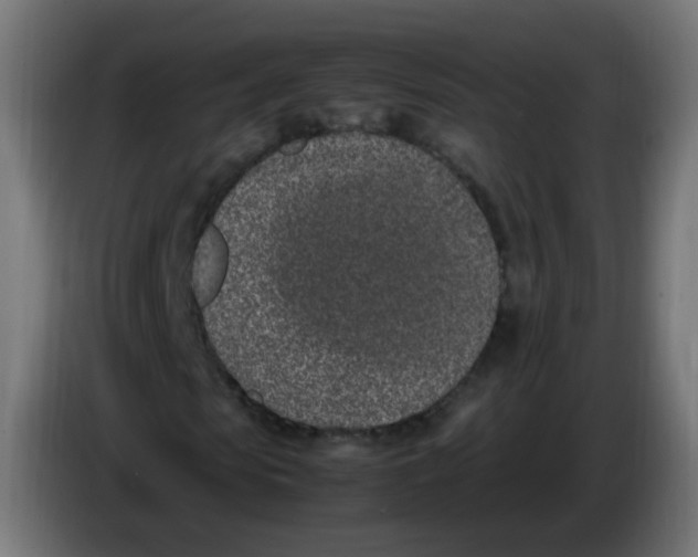 X0000086110913200704132206