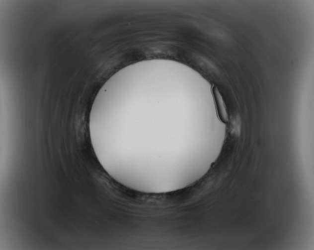 X0000086110915200704132206