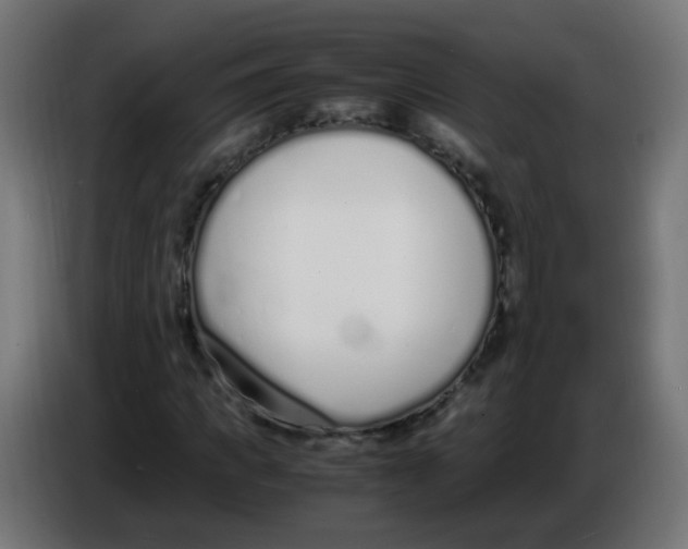 X0000086110917200704132206