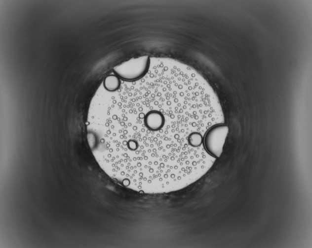 X0000086110918200704132206