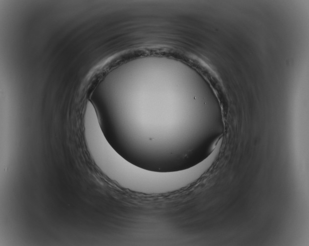 X0000086110920200704132206