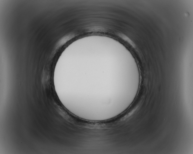 X0000086110922200704132206