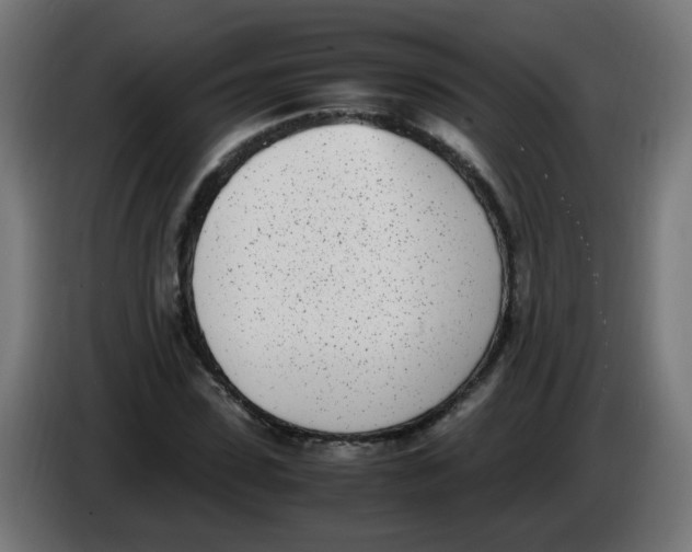 X0000086110923200704132206