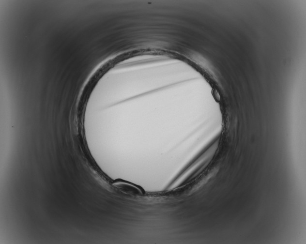 X0000086110924200704132206