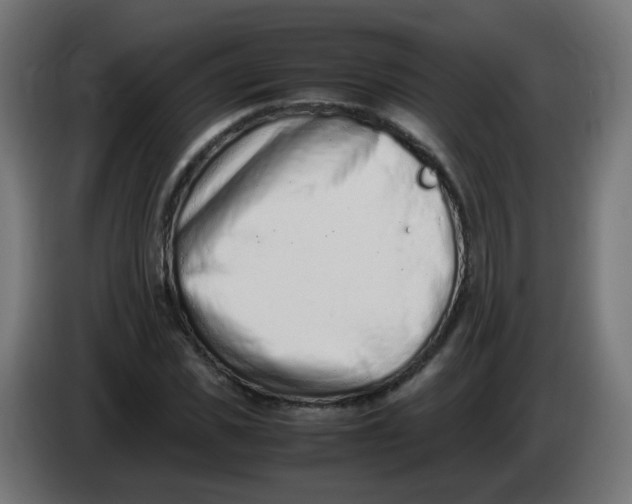 X0000086110925200704132206