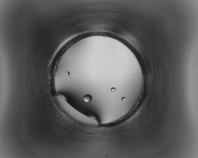 X0000086110926200704132206