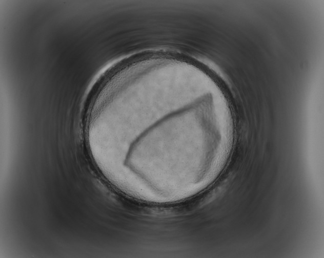 X0000086110927200704132206