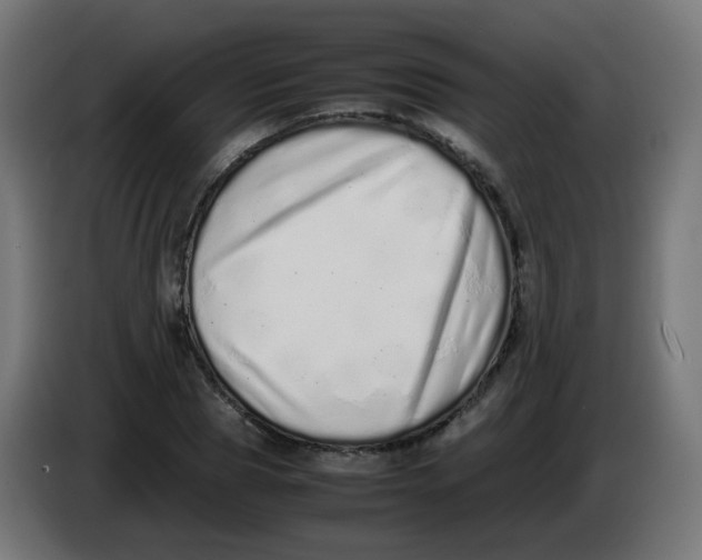 X0000086110929200704132206