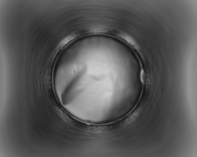 X0000086110930200704132206