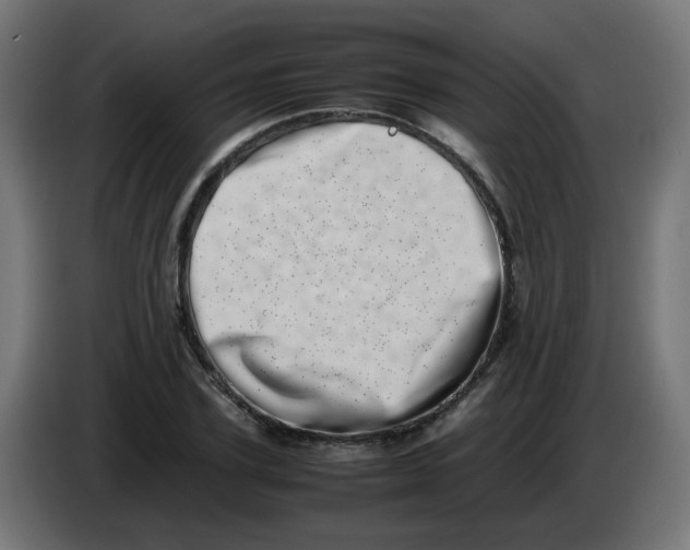 X0000086110931200704132206