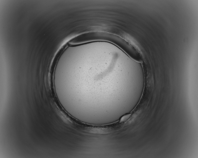 X0000086110932200704132206