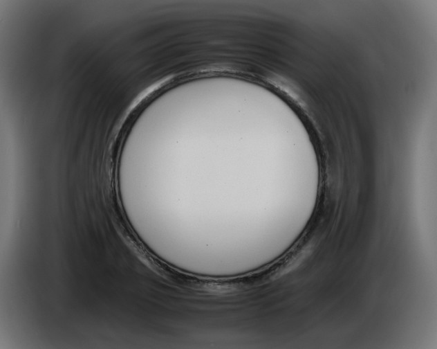 X0000086110933200704132206