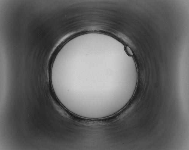 X0000086110934200704132206