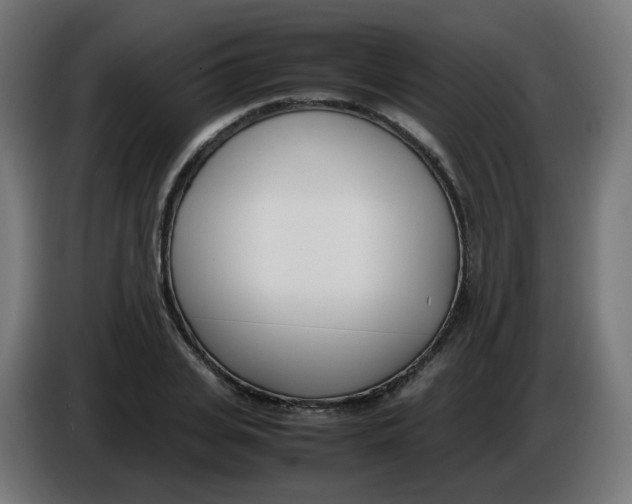 X0000086110935200704132206