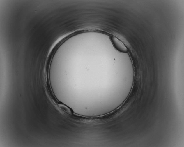 X0000086110936200704132206