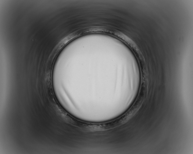 X0000086110937200704132206