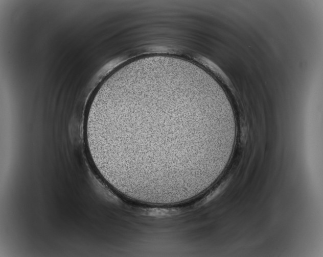 X0000086110938200704132206