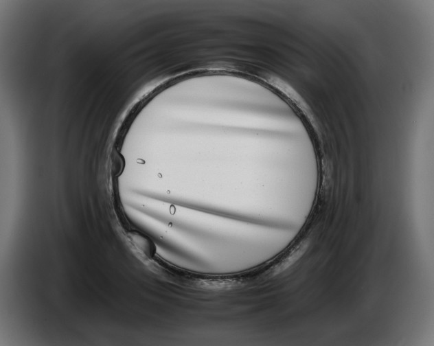 X0000086110939200704132206