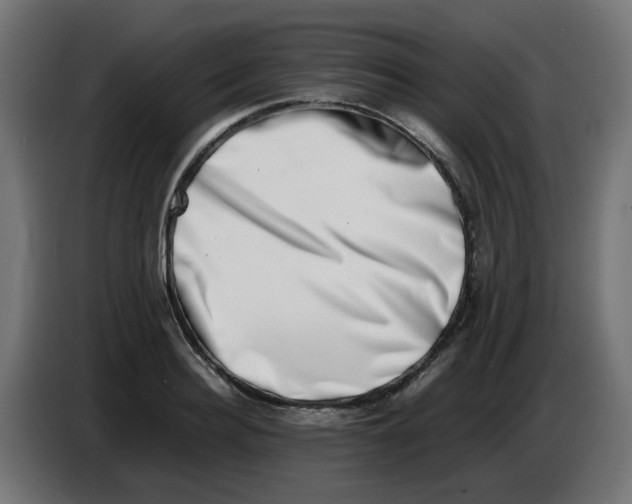 X0000086110940200704132206