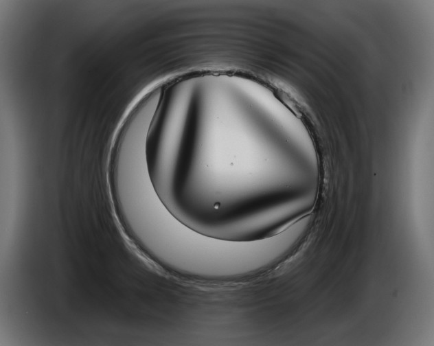 X0000086110942200704132206