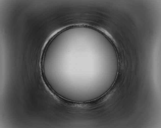 X0000086110943200704132206