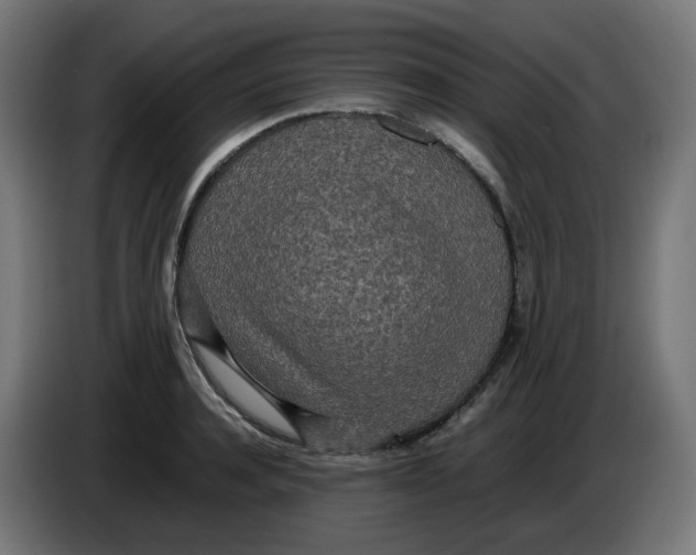 X0000086110944200704132206