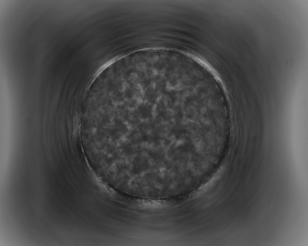 X0000086110945200704132206