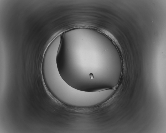 X0000086110946200704132206